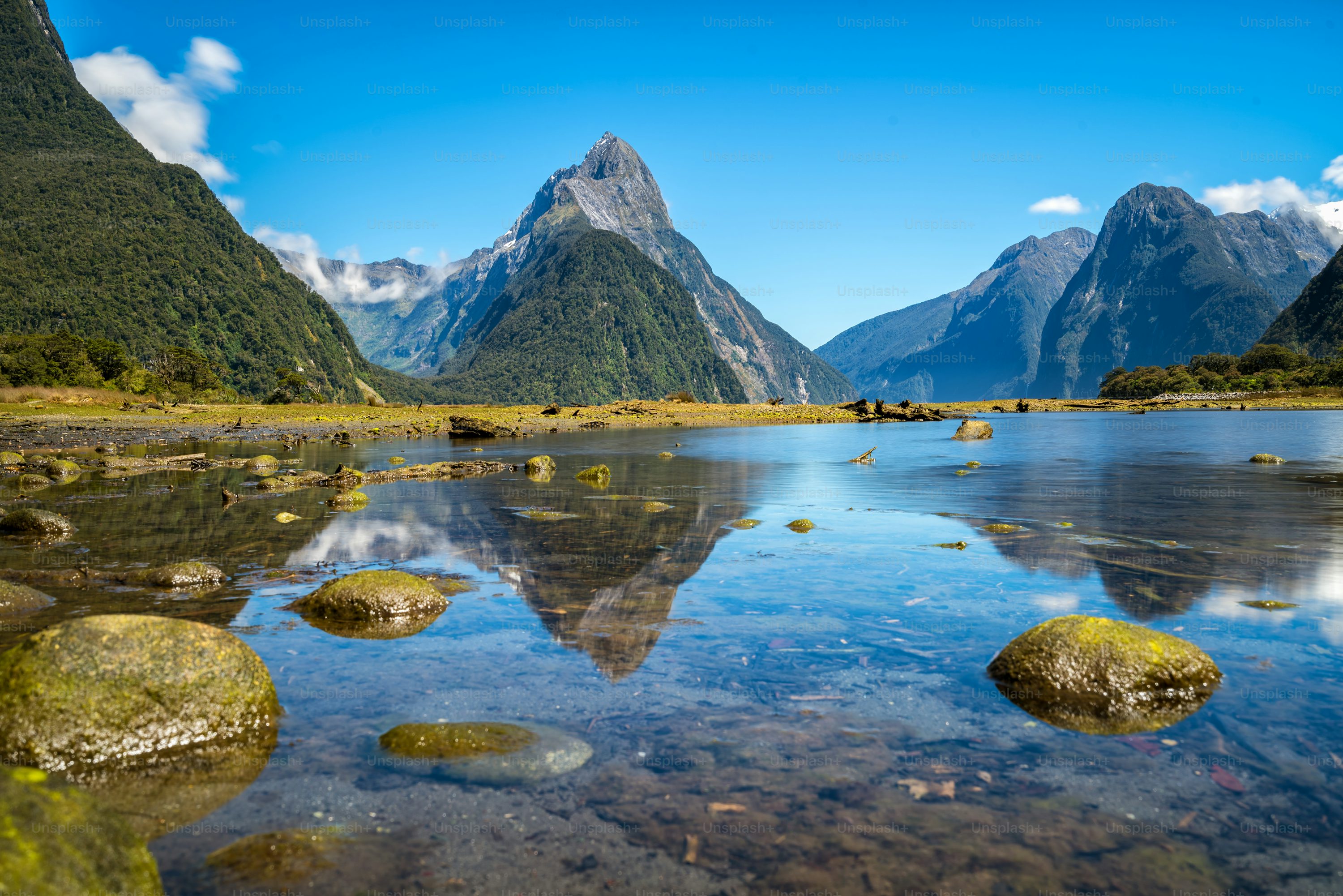 New Zealand image